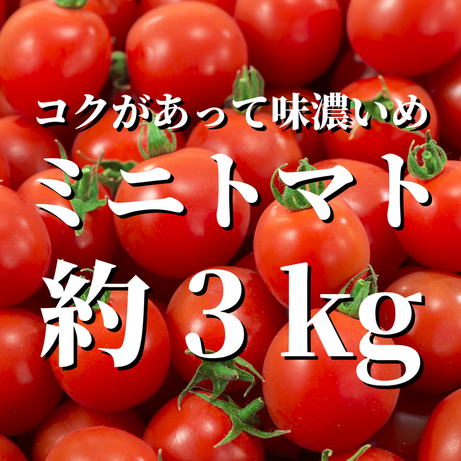 5e741c759df1632dd90ace77