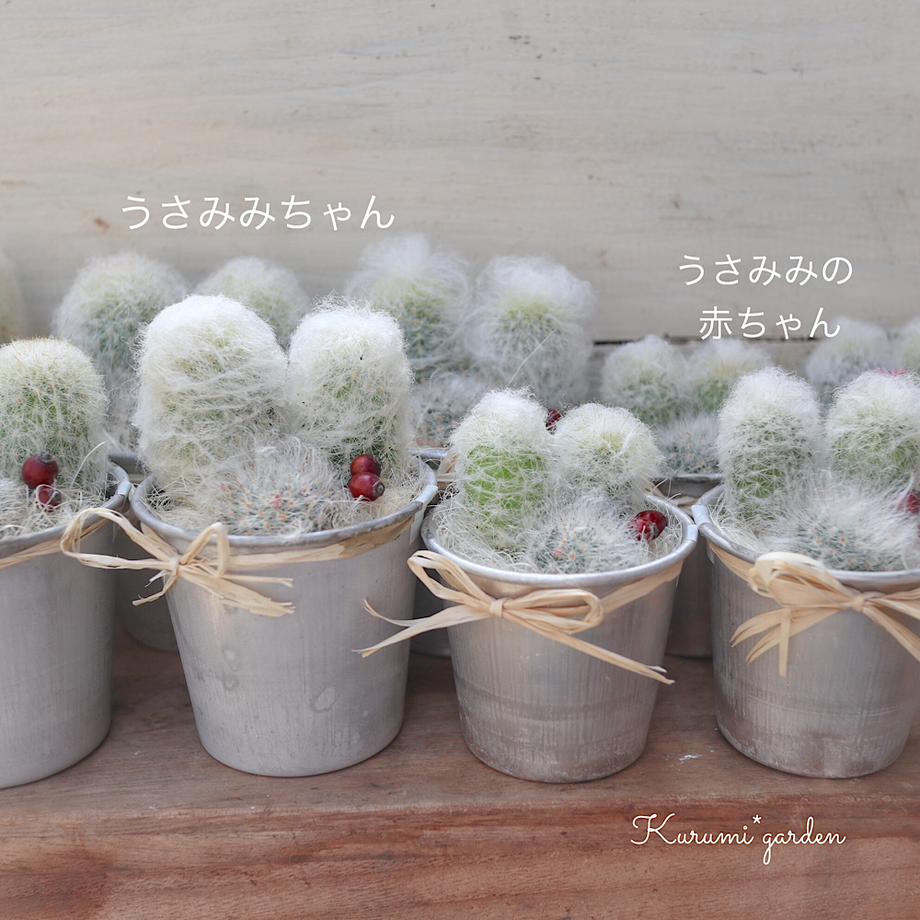 5d57ceac8019c917b1e26e2c