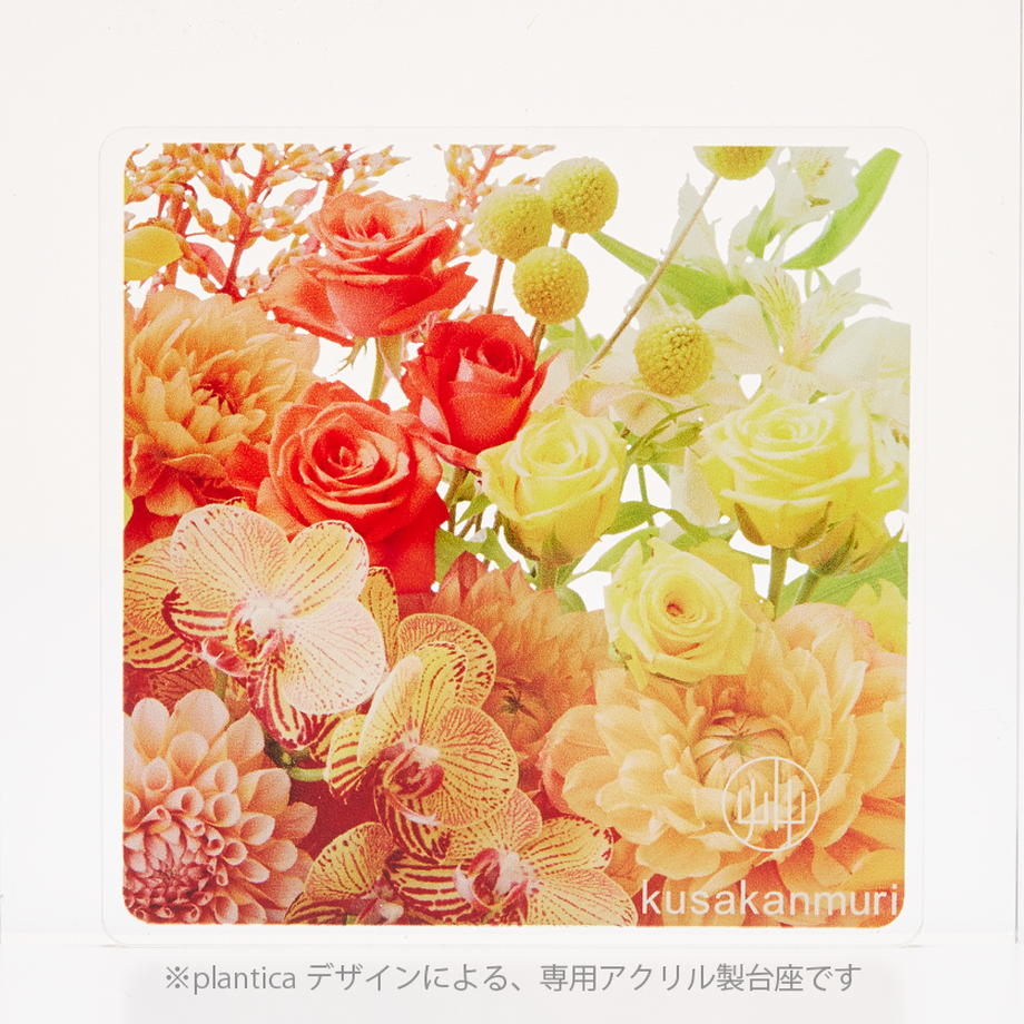 58b3d20ac3b8dfe20600083c