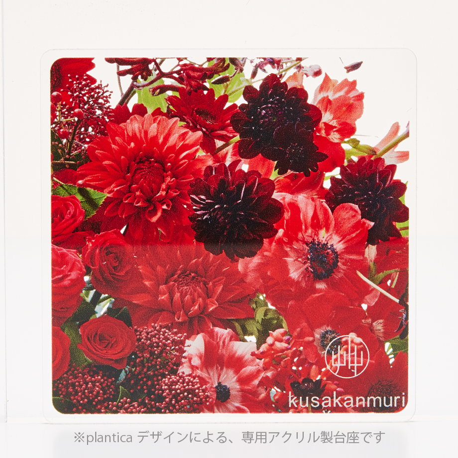 58b3d182100315a7b80009cd