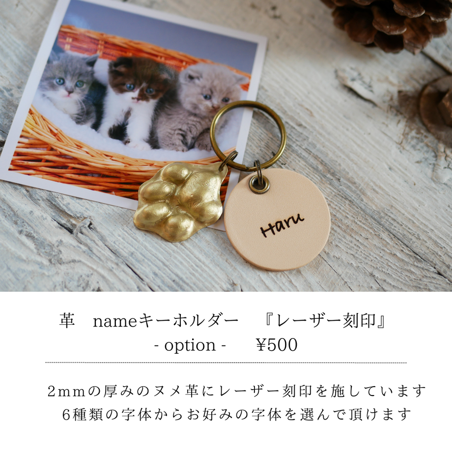 61ca842073989158d12245a6