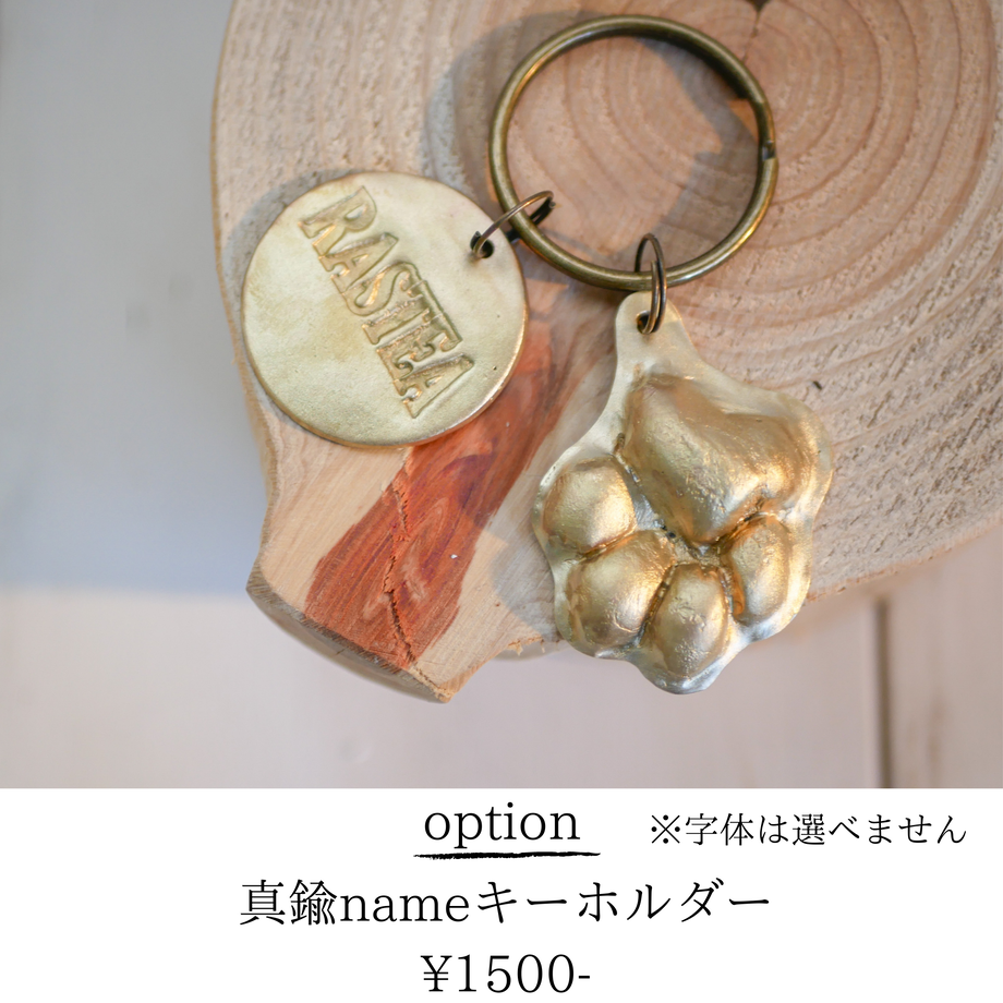 60a4e92950a48a6f4264028d