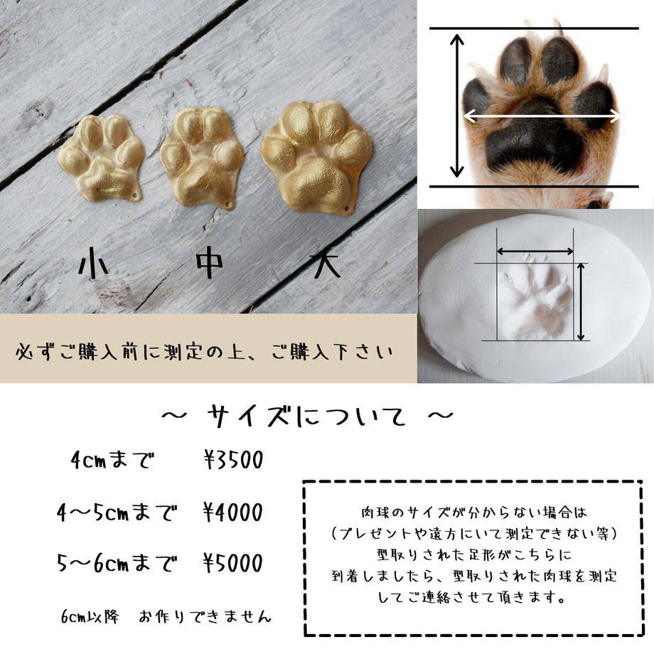 61ca83dab8979f6bdf0a620e