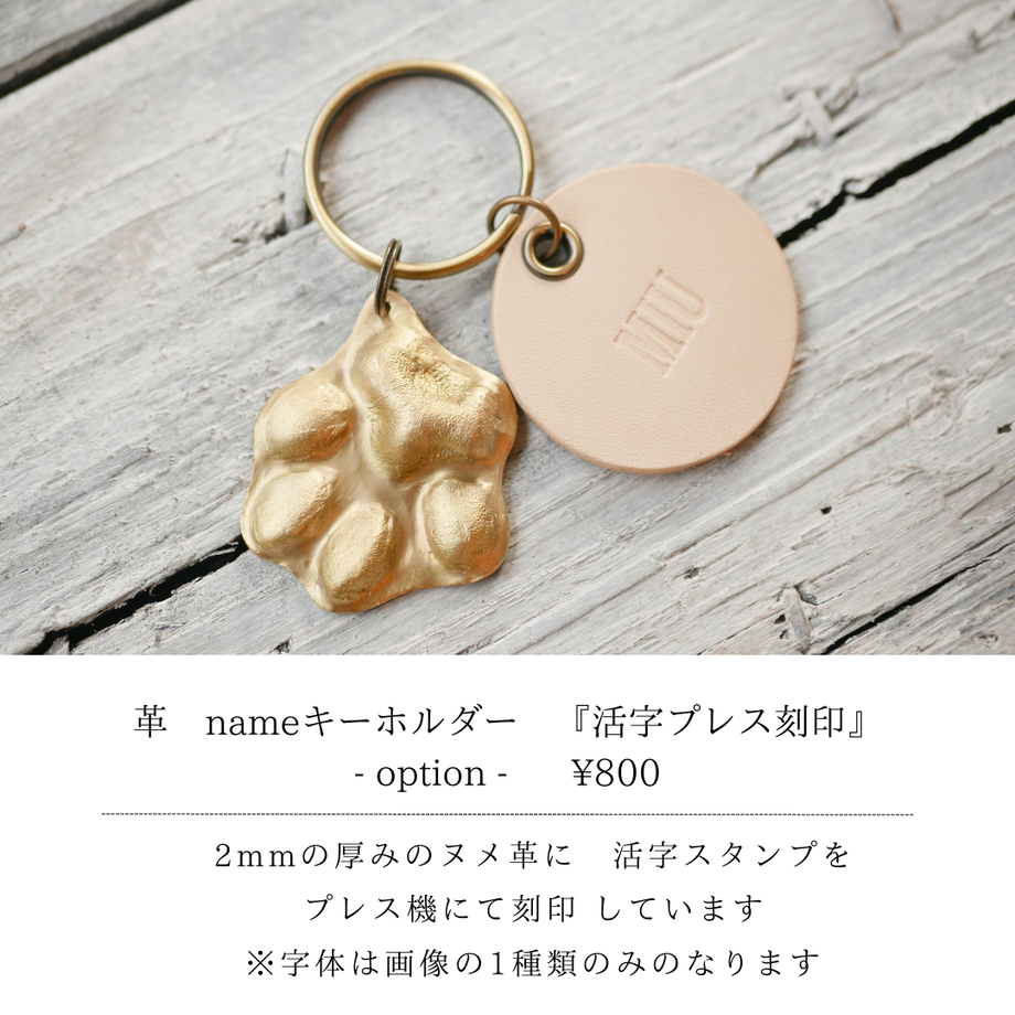 61ca83dab8979f6bdf0a620e