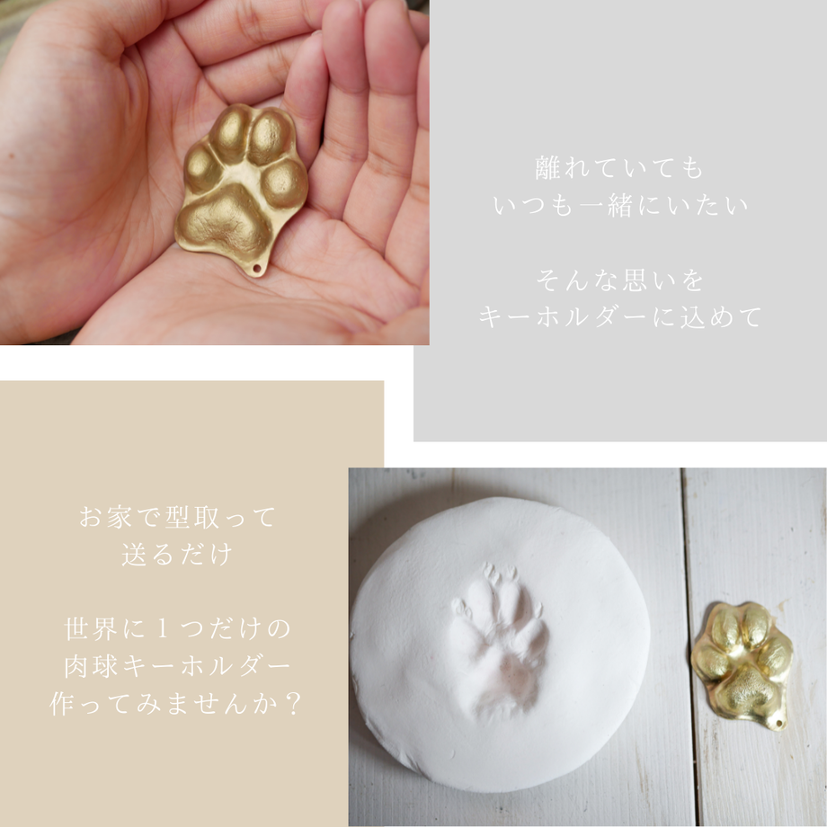 61ca83dab8979f6bdf0a620e