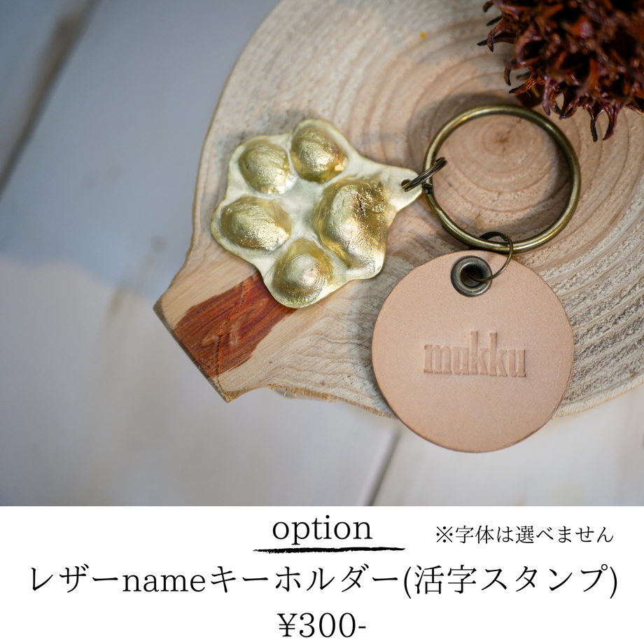 60a4e92950a48a6f4264028d