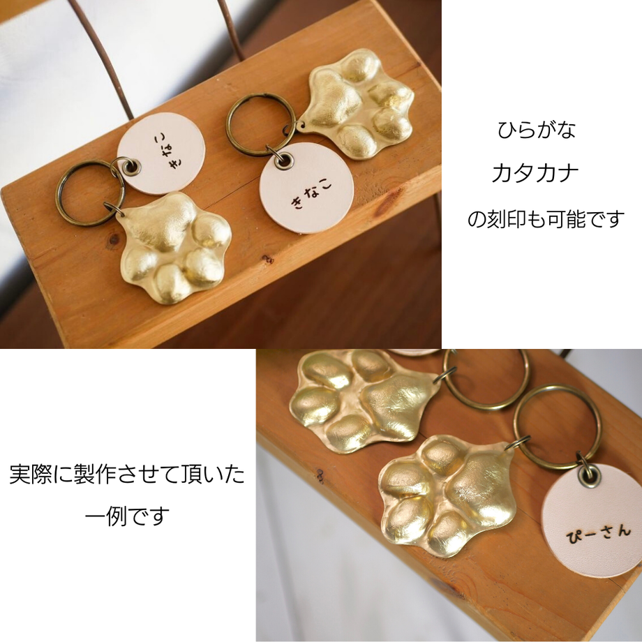 61ca83dab8979f6bdf0a620e
