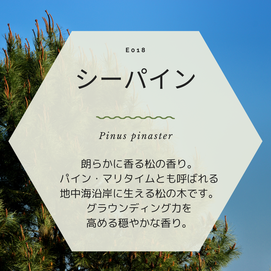 60385b9831862575a5b05f95