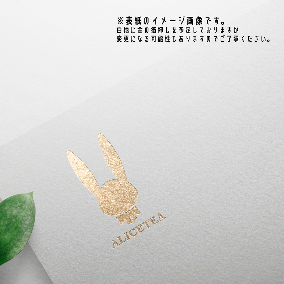 62a06b500536245aa3f8e28a