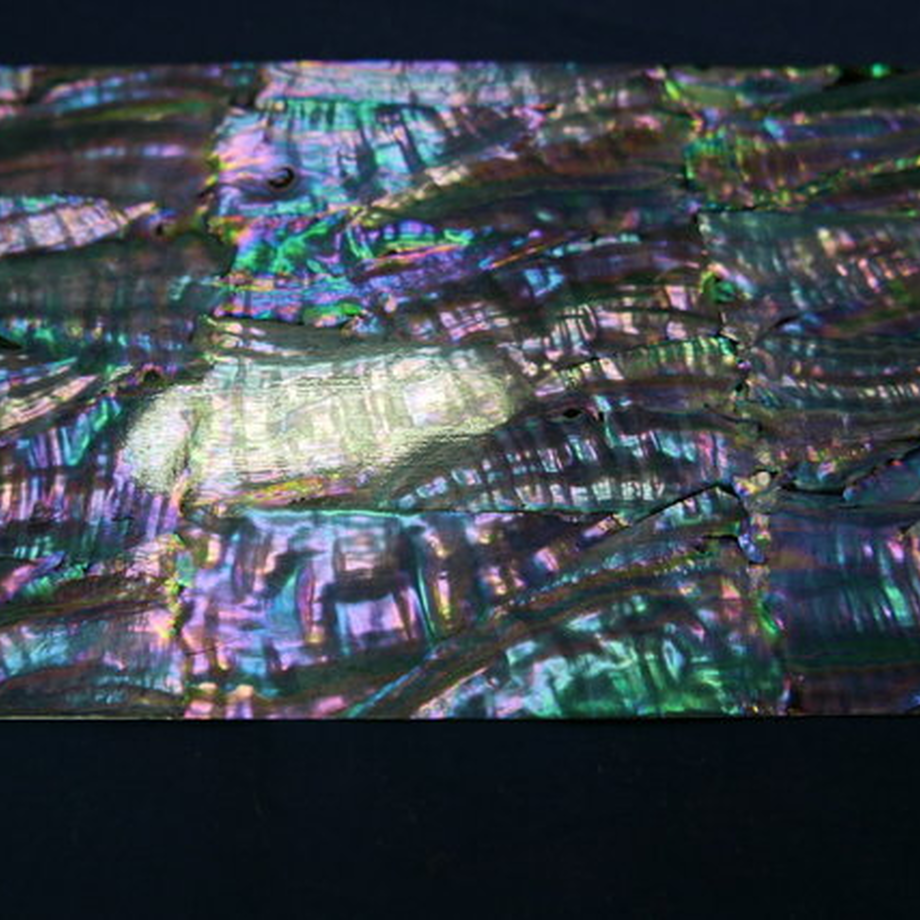 5d1066fa1fdaf56e15c83962