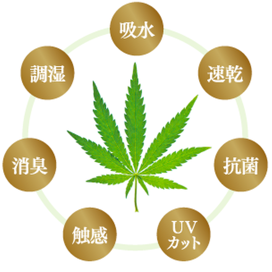 610cd5420f9a22709acb10ca
