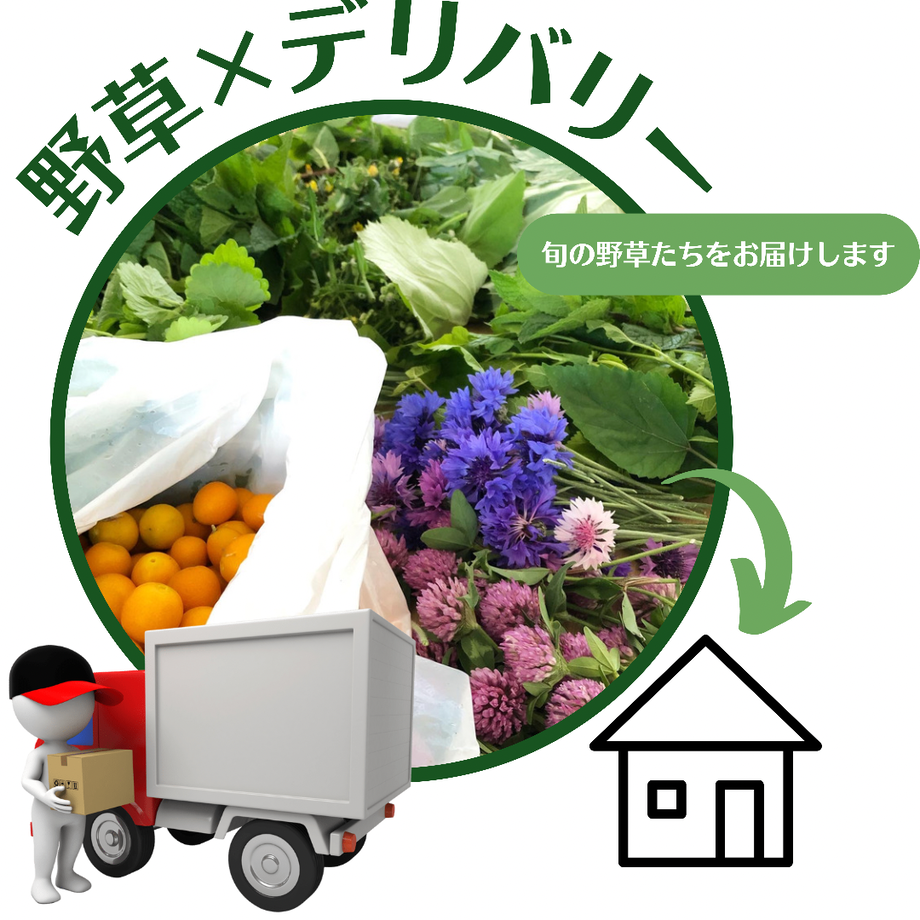 61a1556e9270a740685312c7