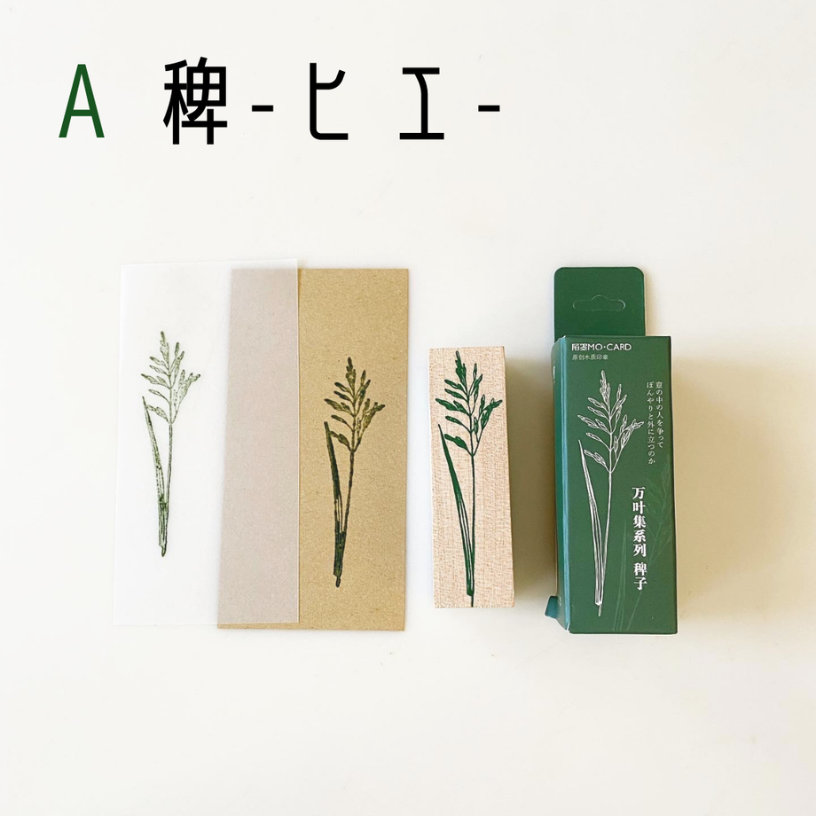 6177ab98f1f39a213a506c7e