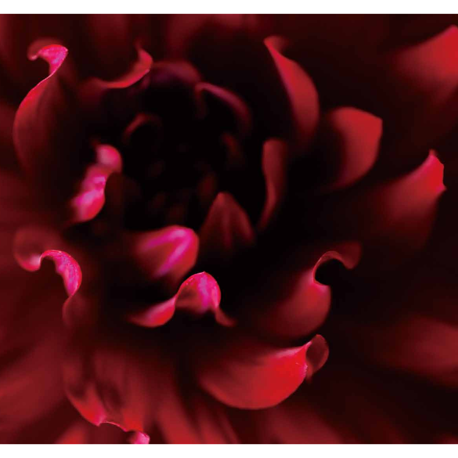5fa62c0772eb463014e59994