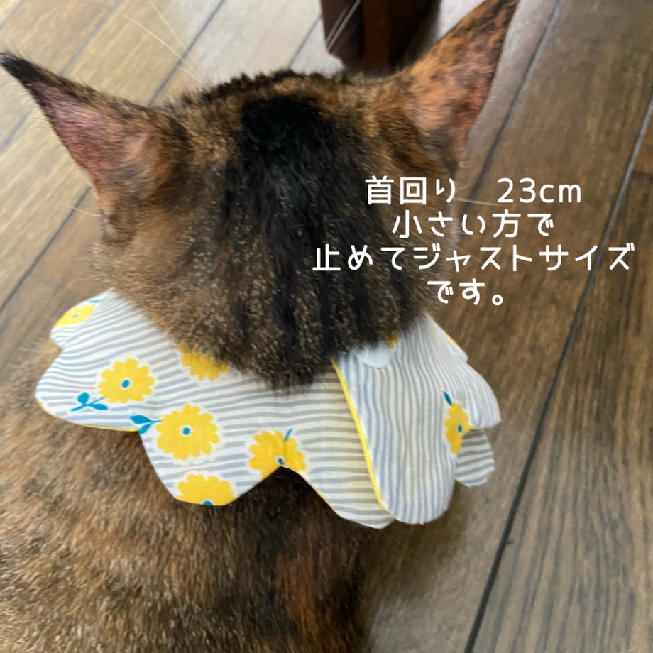 62b5a81805362443fc1b13dc