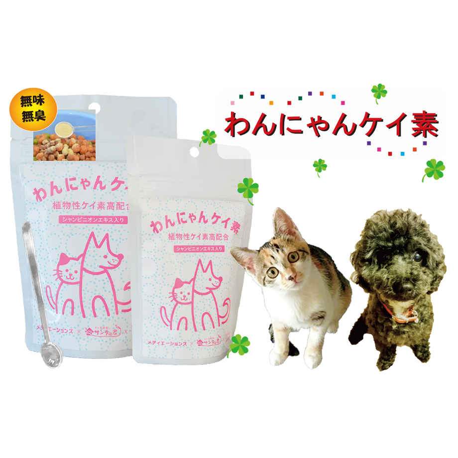 5cb54435d211bf440bcc0b07