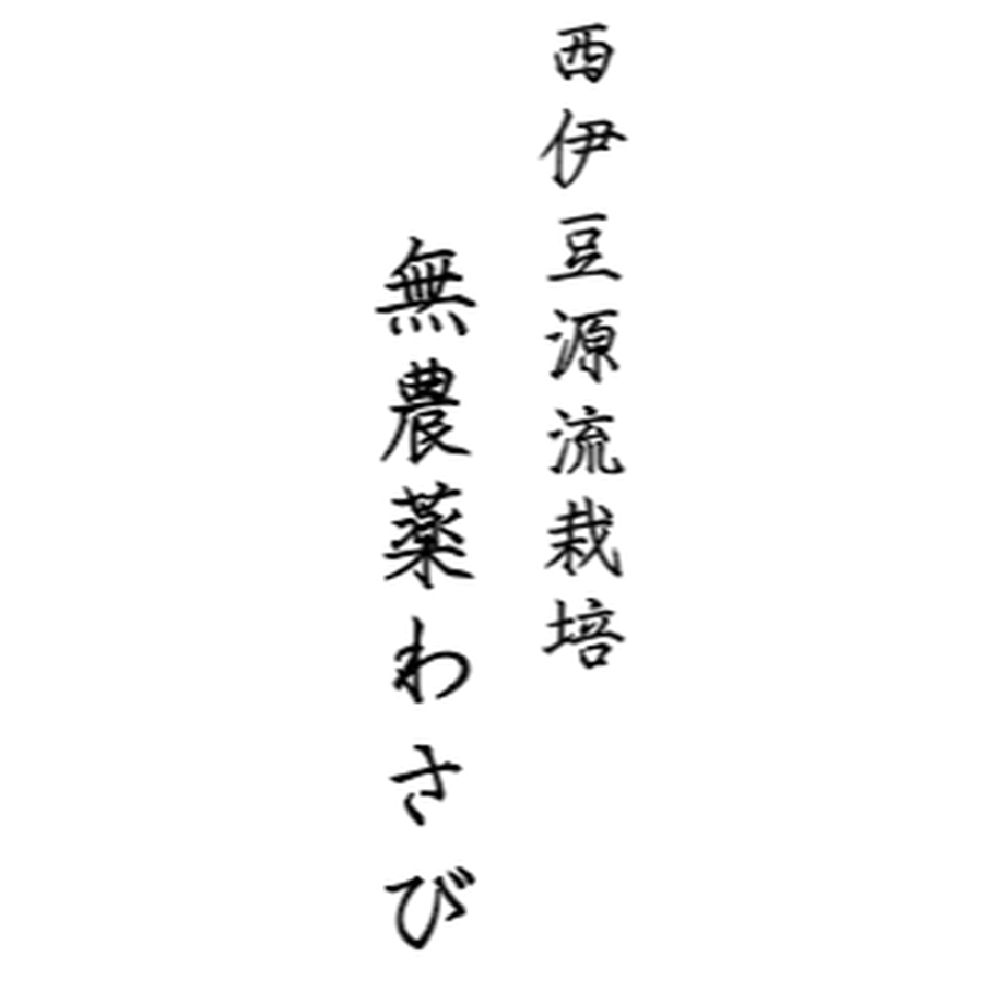 5d8ef5e9bc45ac72e4beea3f