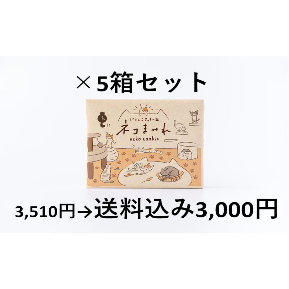 612e1fb52b2d3d29b8067b1c
