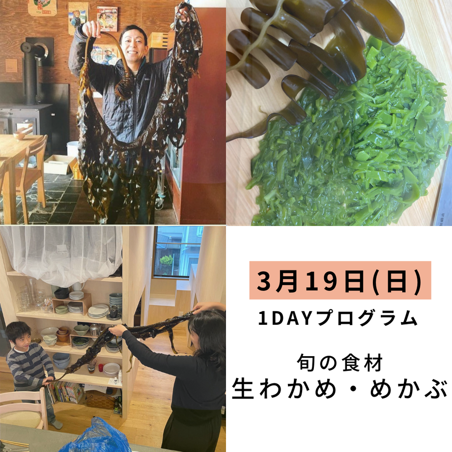 63bf77879d28421614747b4d