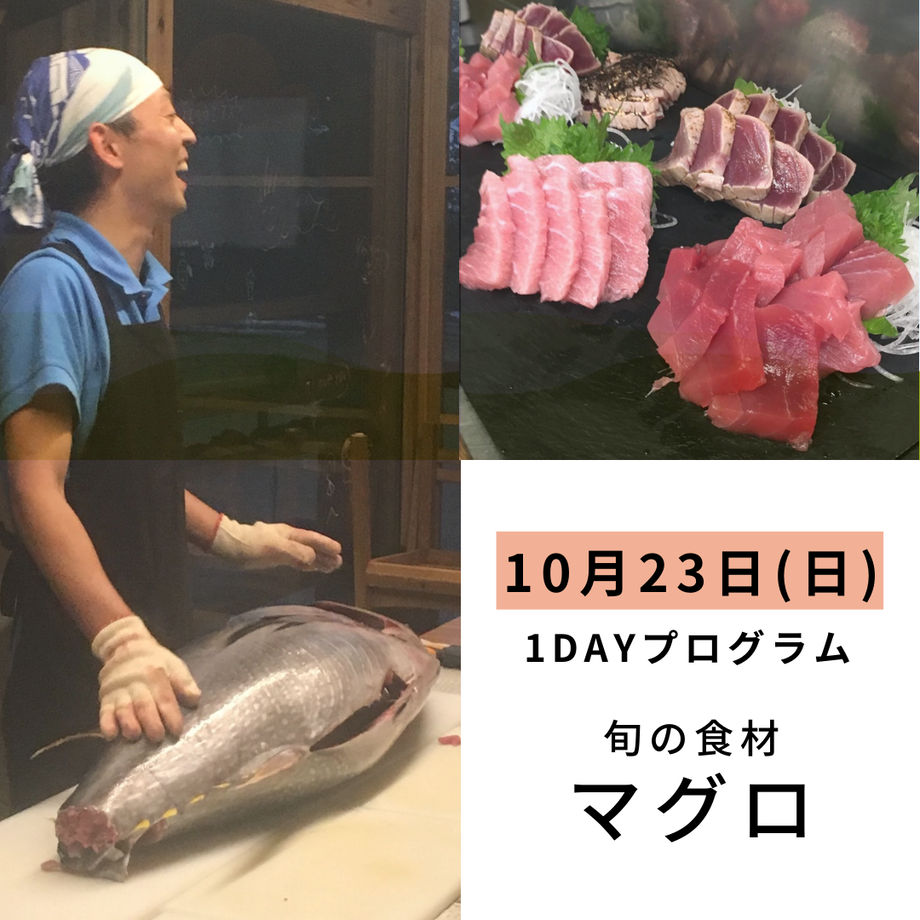62ee7ca9110dda1e86db1a8e