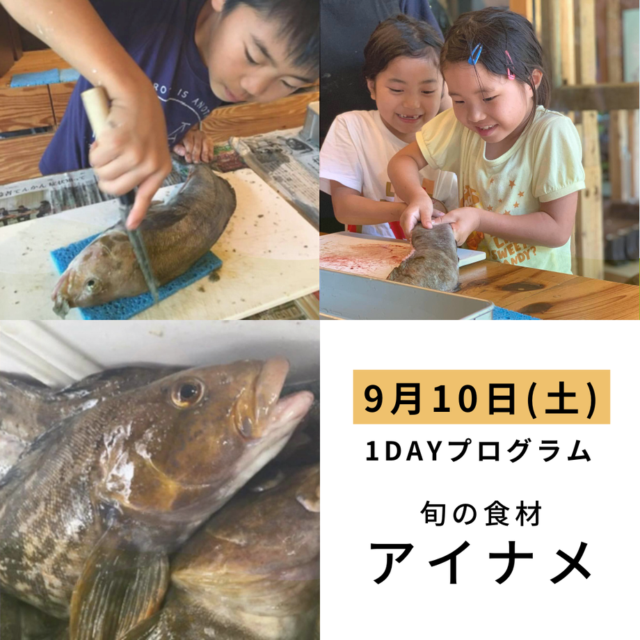 62d8a451a74e335670513681