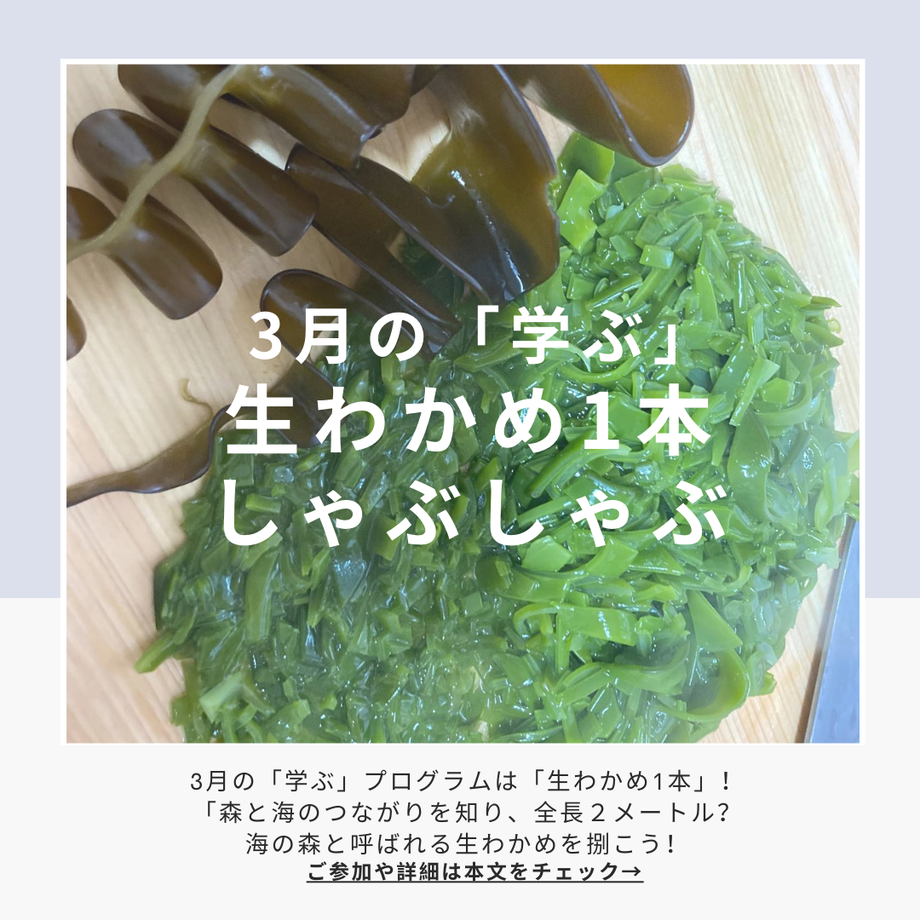 63bf77879d28421614747b4d