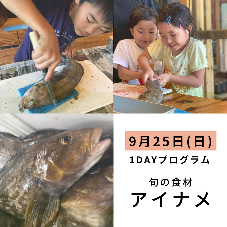 62d8fda2dbe744709f4c4030