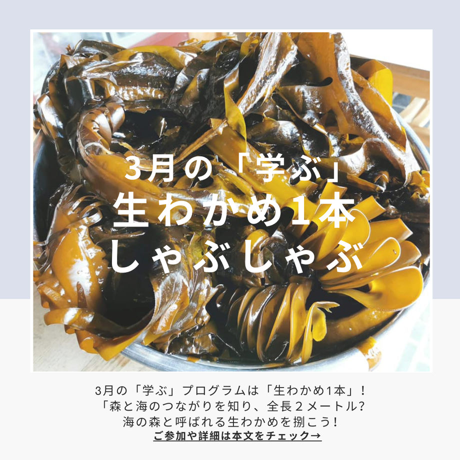 63bf77879d28421614747b4d