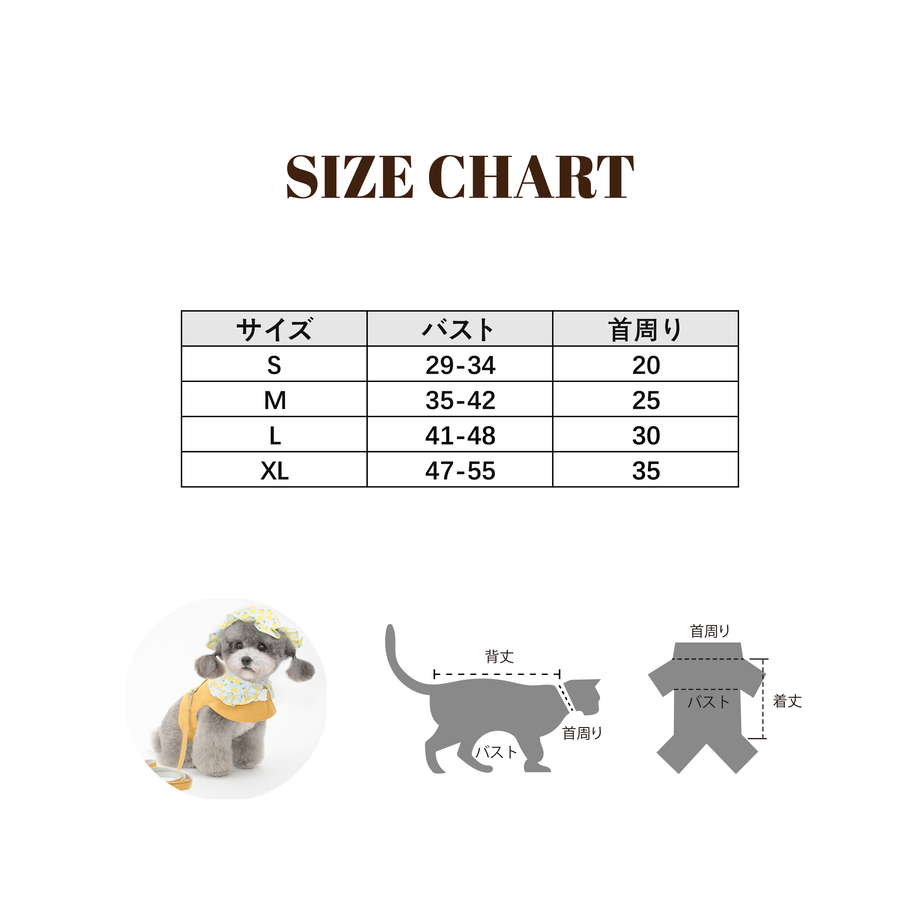 608a5ae6e70dc46122a04bc2