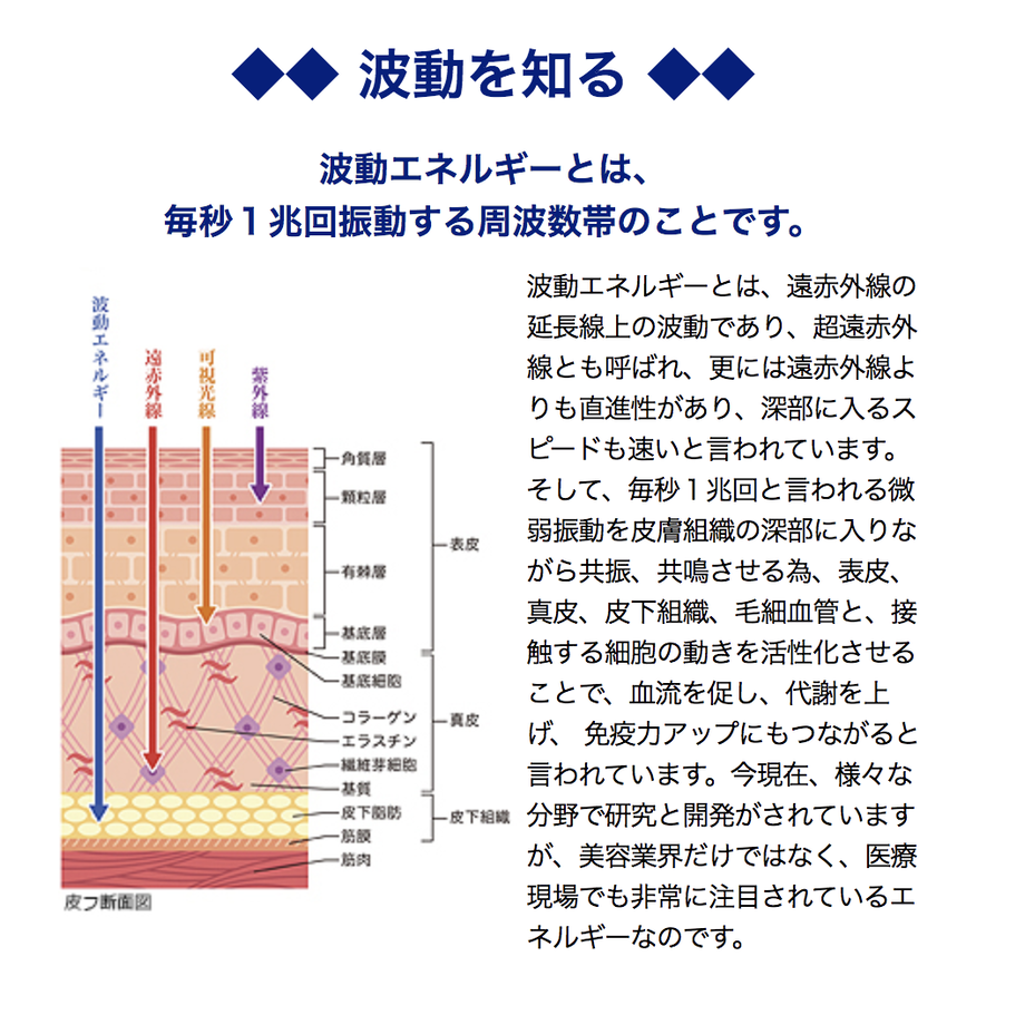 602a8e87c19c453b26f98b5b