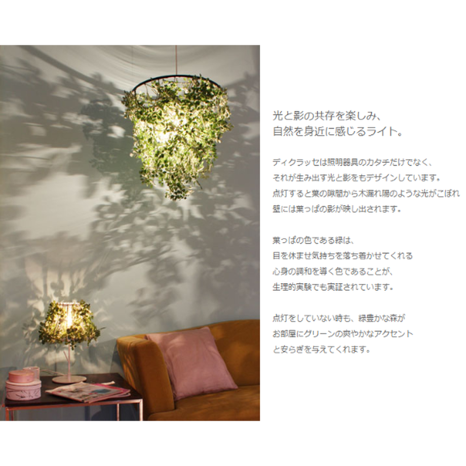 61074db746e30e5535e6b726