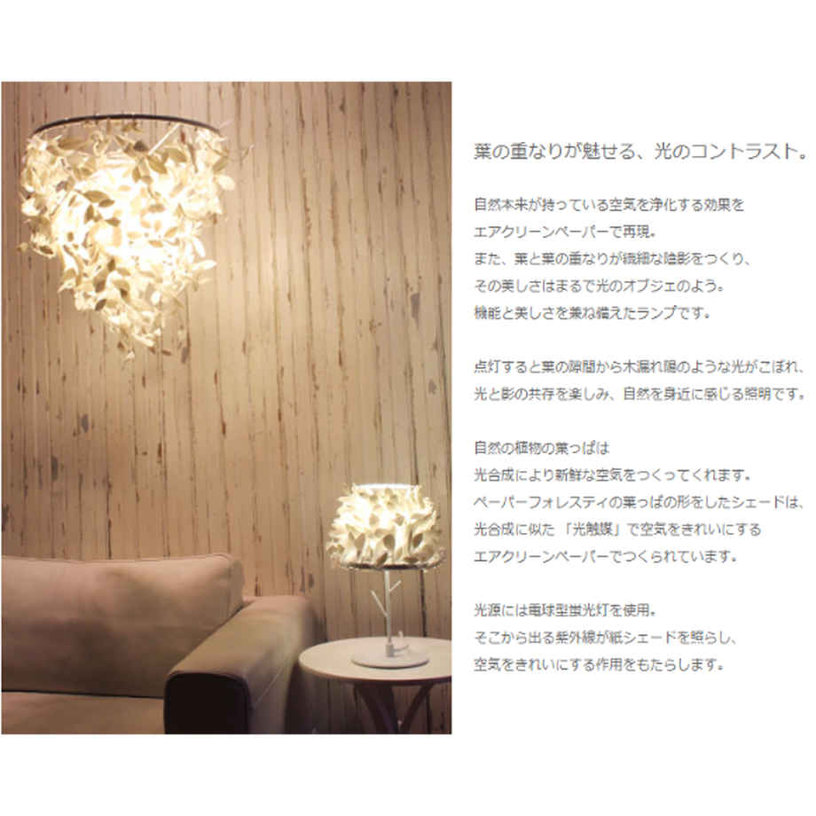 61074f4be50c0b118c343a5f
