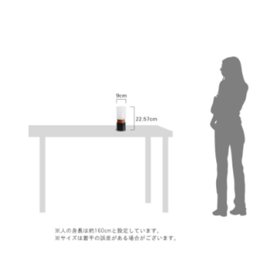 61062ffa84ca6370a2c7ef55