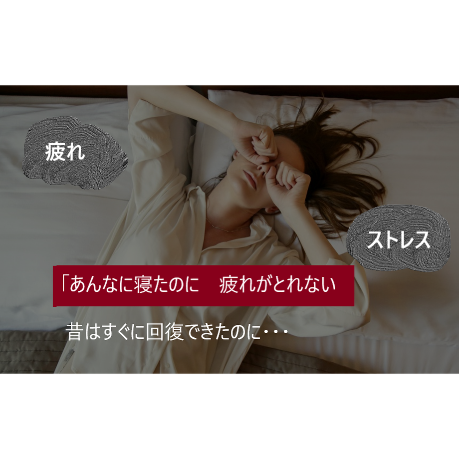 5cf0b11ea894521fc0b398ce