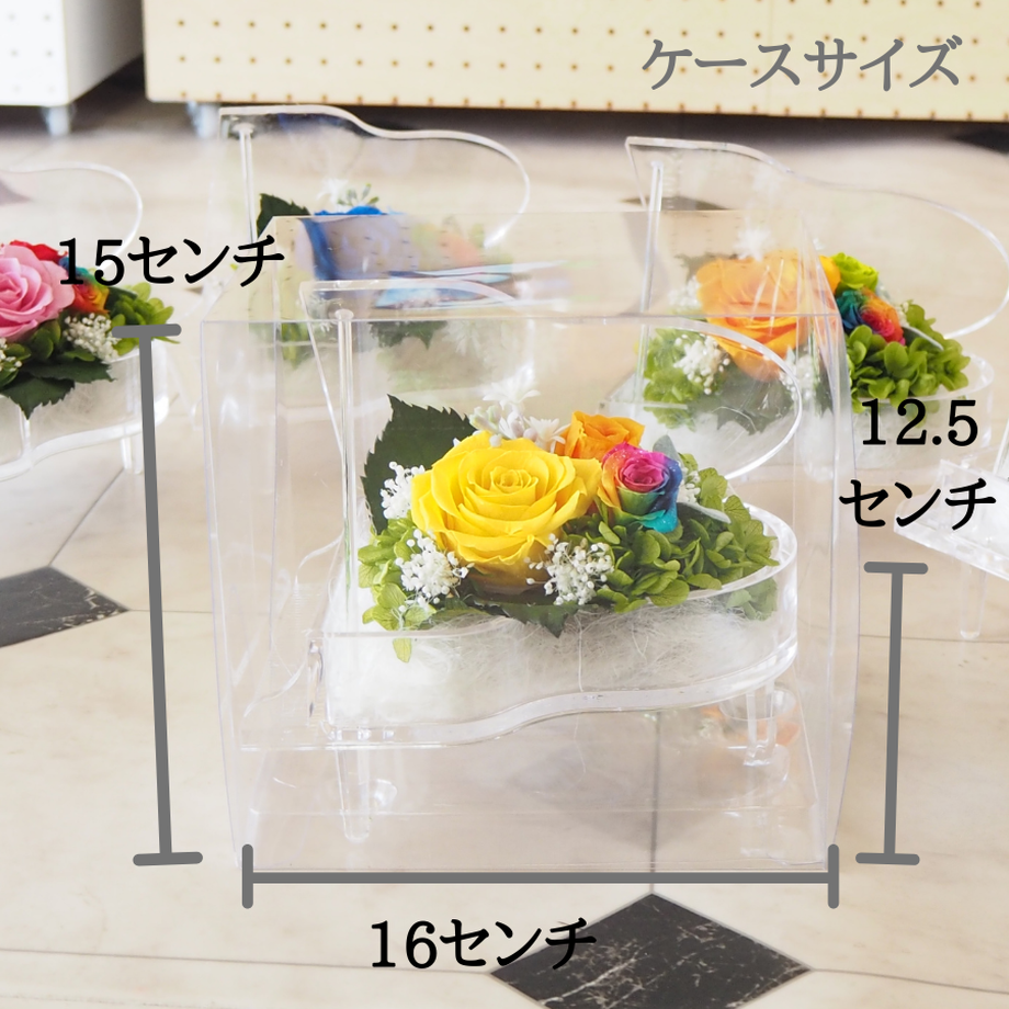 60b5932d50a48a3f3c34cb56