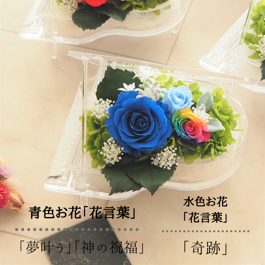 60b5932d50a48a3f3c34cb56