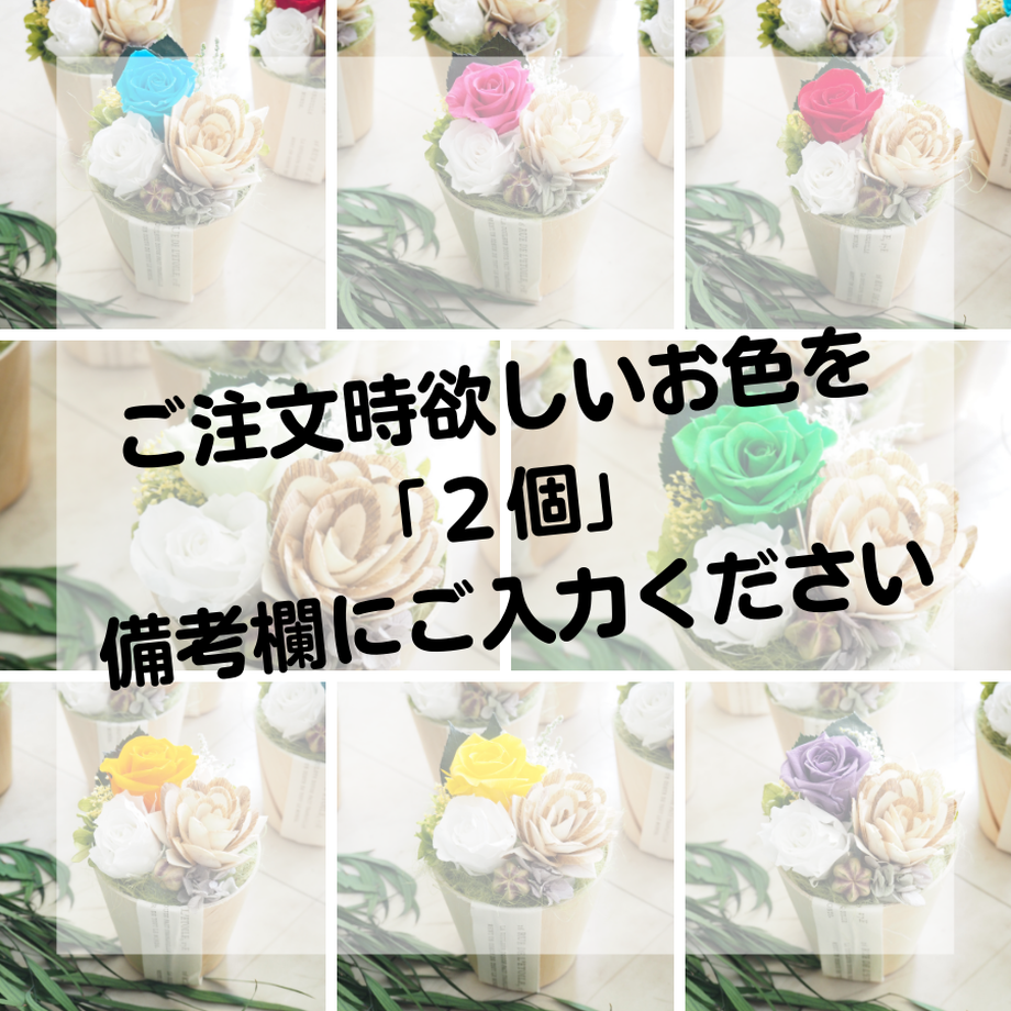 6239844b047a9d3e7211708b