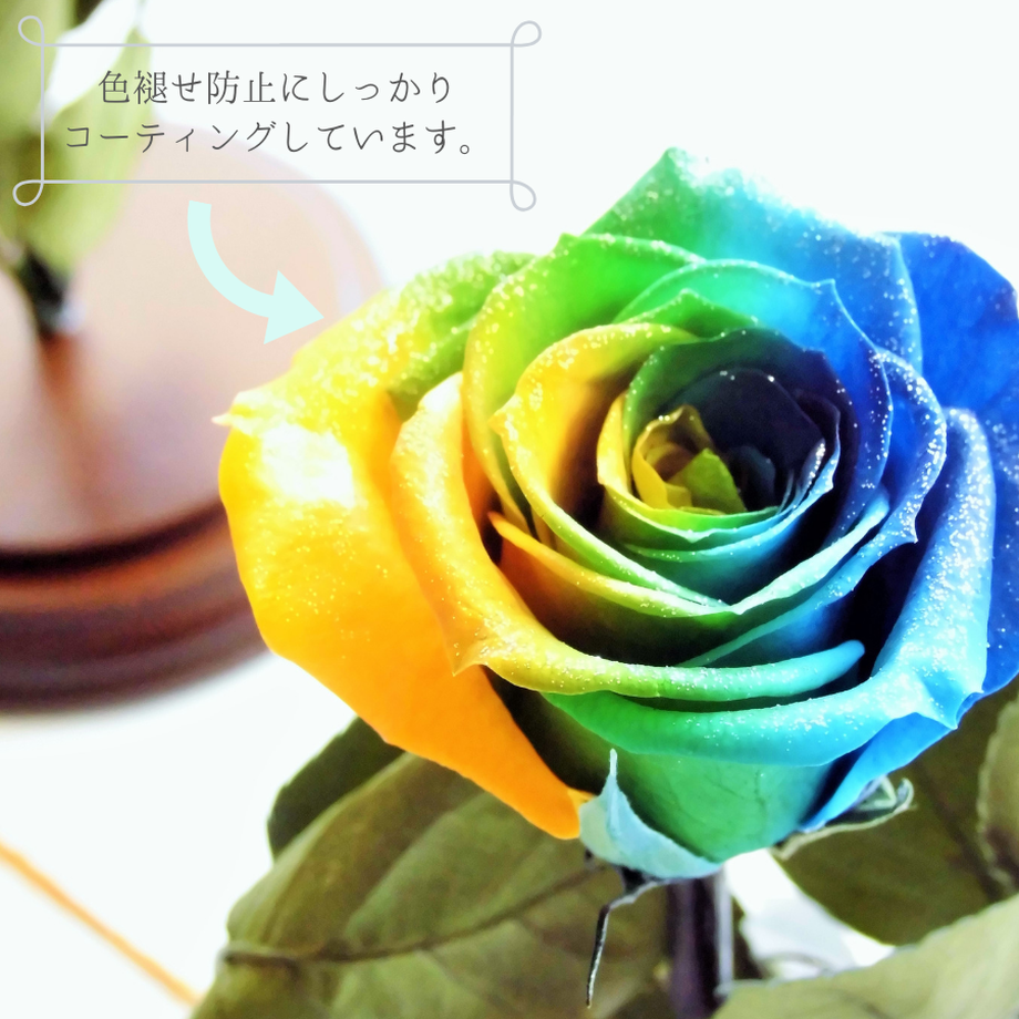 5d4d034a8e691964c360d18a