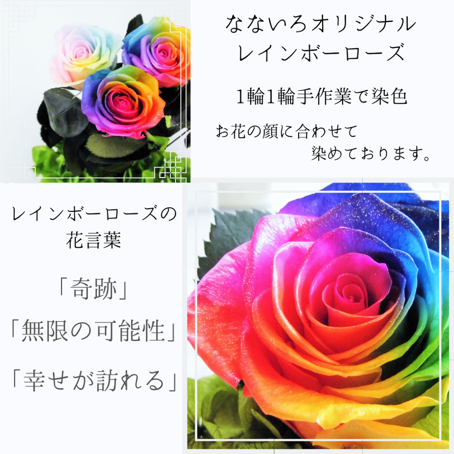 615577dde1fb4c2321a95181