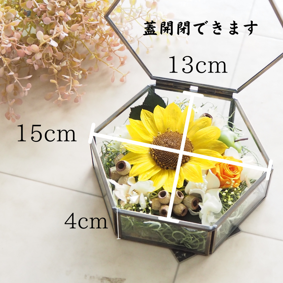 611f63827acd162e55c854d8
