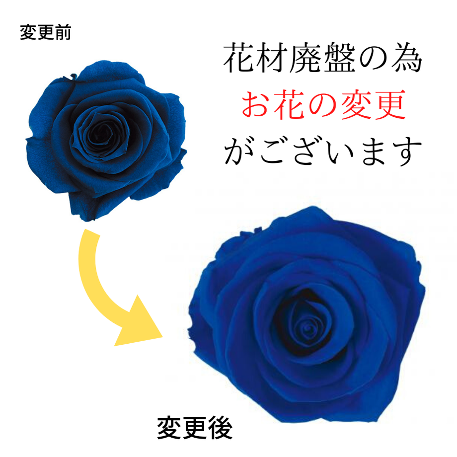 58a2beb6100315512401b813