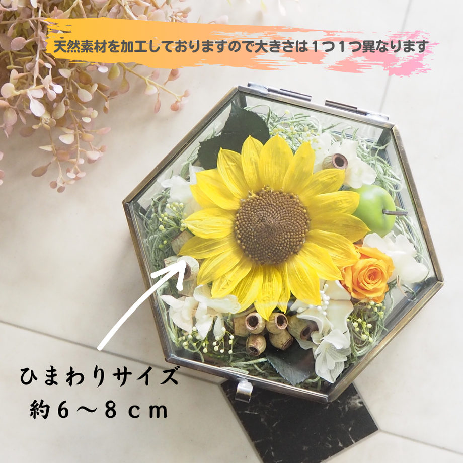 611f63827acd162e55c854d8