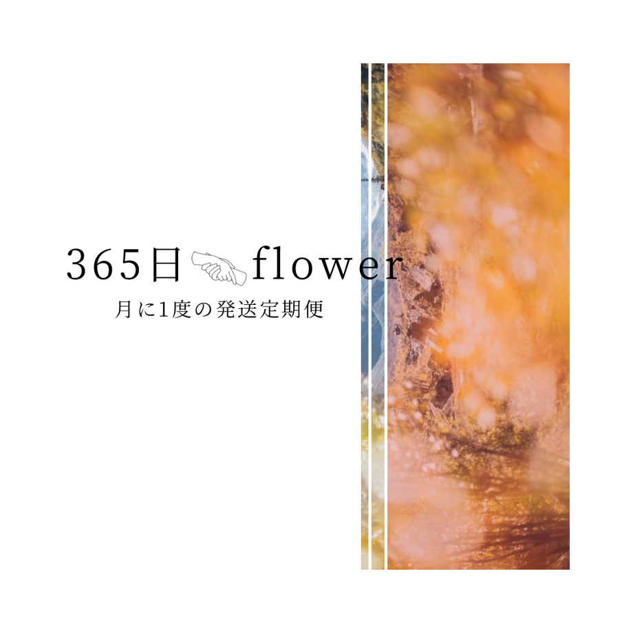 5ebb33a7cee9ea7ff52f9108