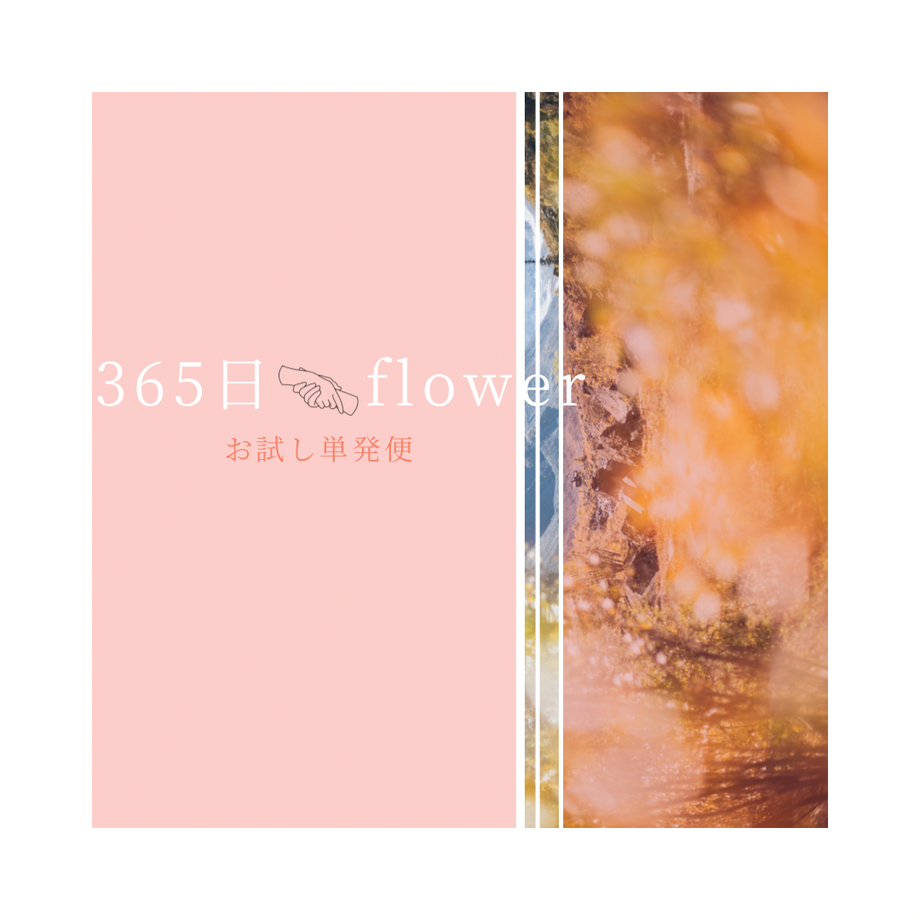 5ec5bbbcbd217873d0b05b86