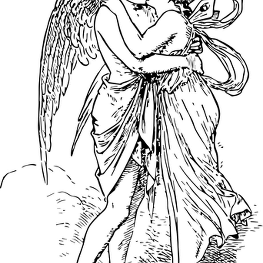 5d47d5c80838297b42548139