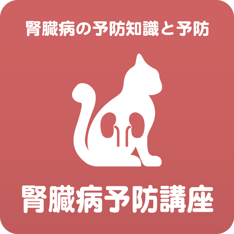 609e3fa61945c7758d78001b