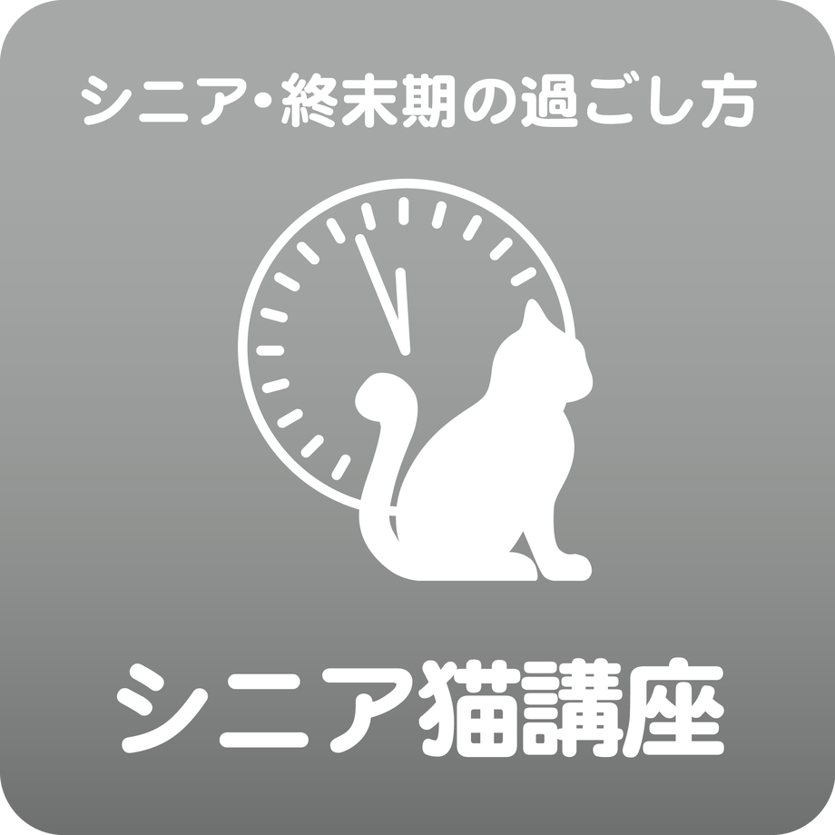 609e40169a5b751d21c008af