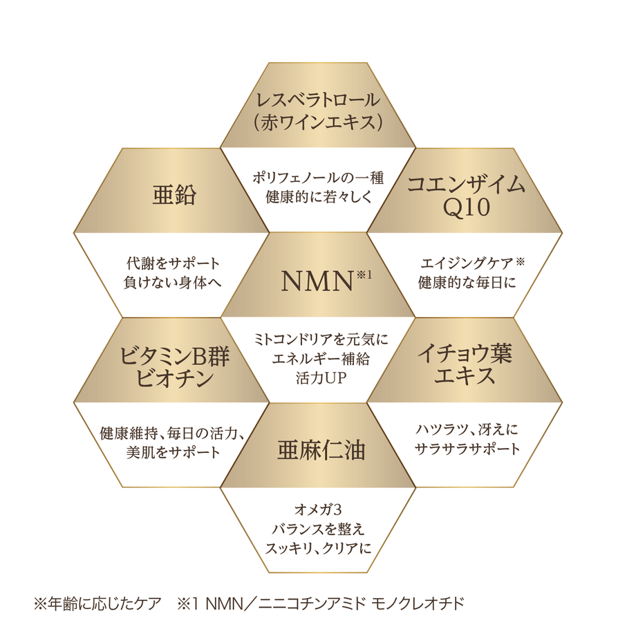 6355dd2cbd5e4d646139c38f
