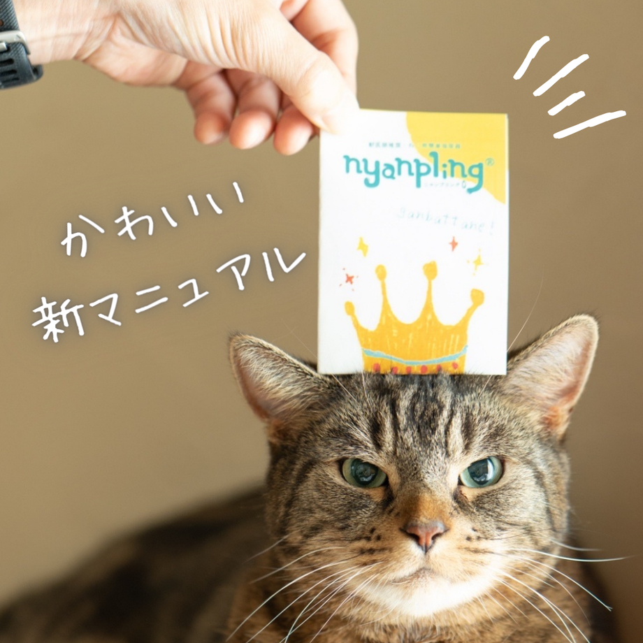 63b7ff87fd38c970813f5b52