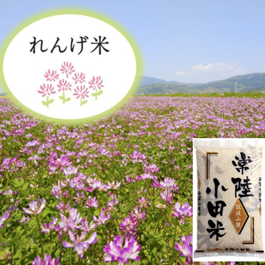 5ee31a14b5a4255a46fc6516